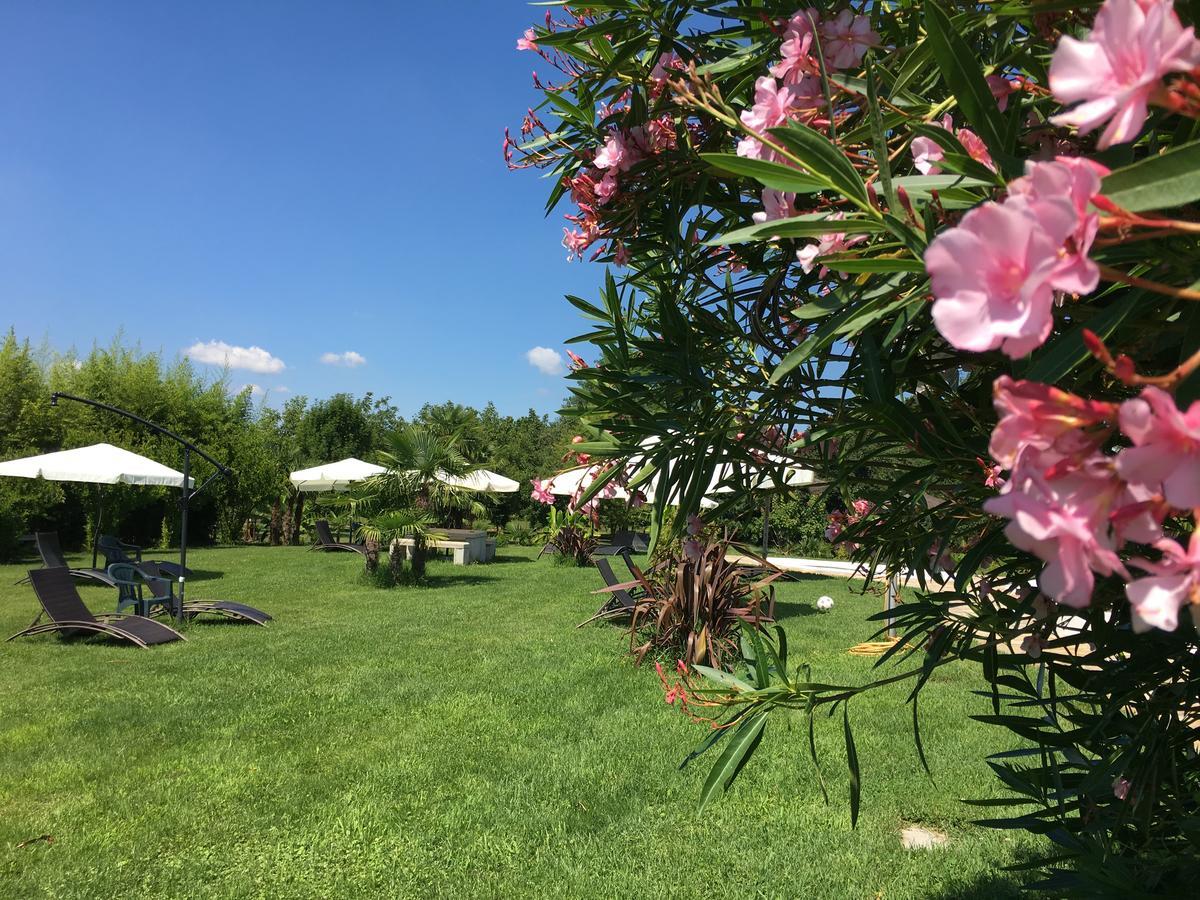 Agriturismob&B Loggia Degli Artisti Palazzolo dello Stella Eksteriør billede